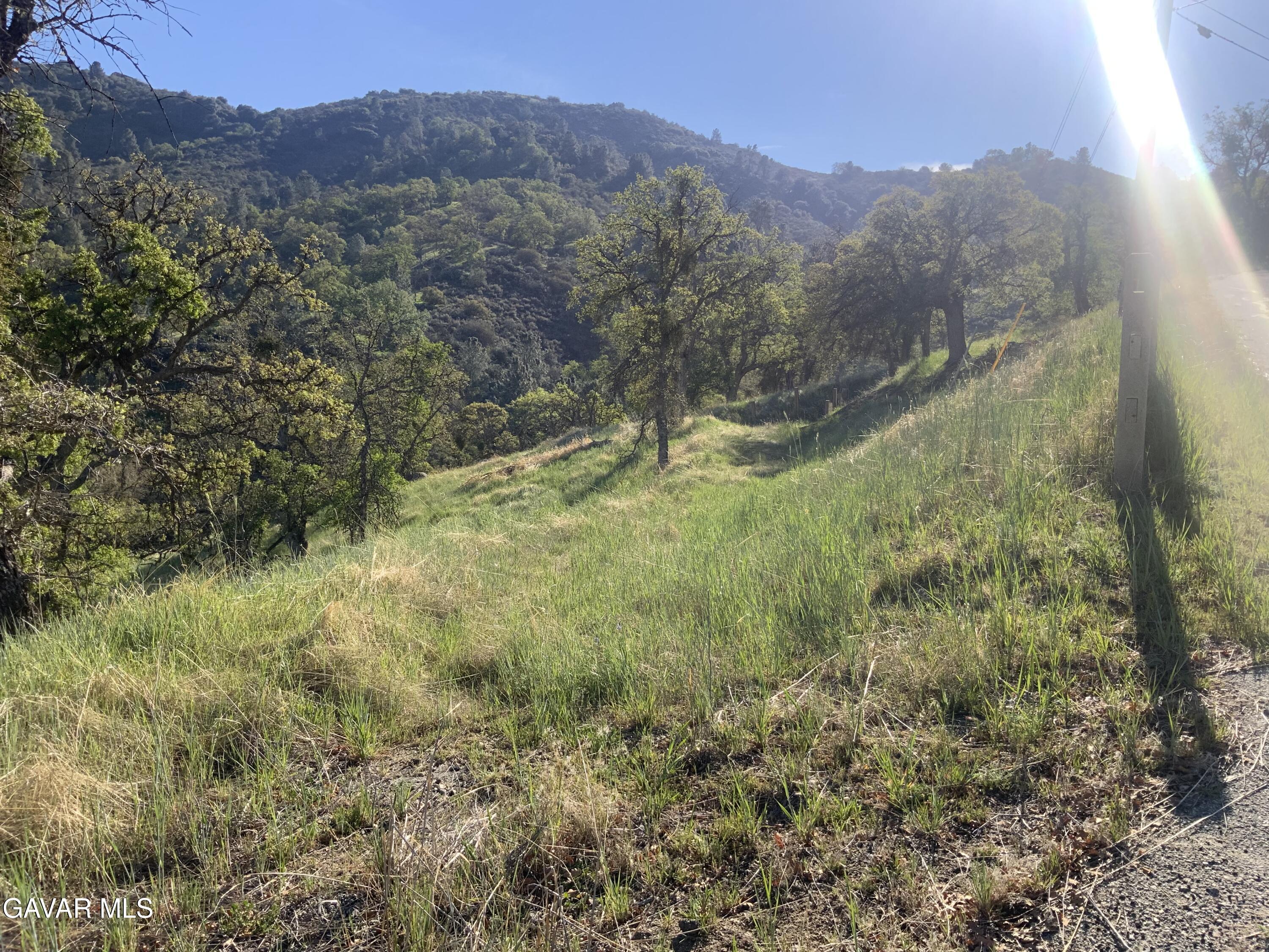 28600 Ridgeview Court Tehachapi, CA 93561 - Photo 4 of 11 IMG_2235