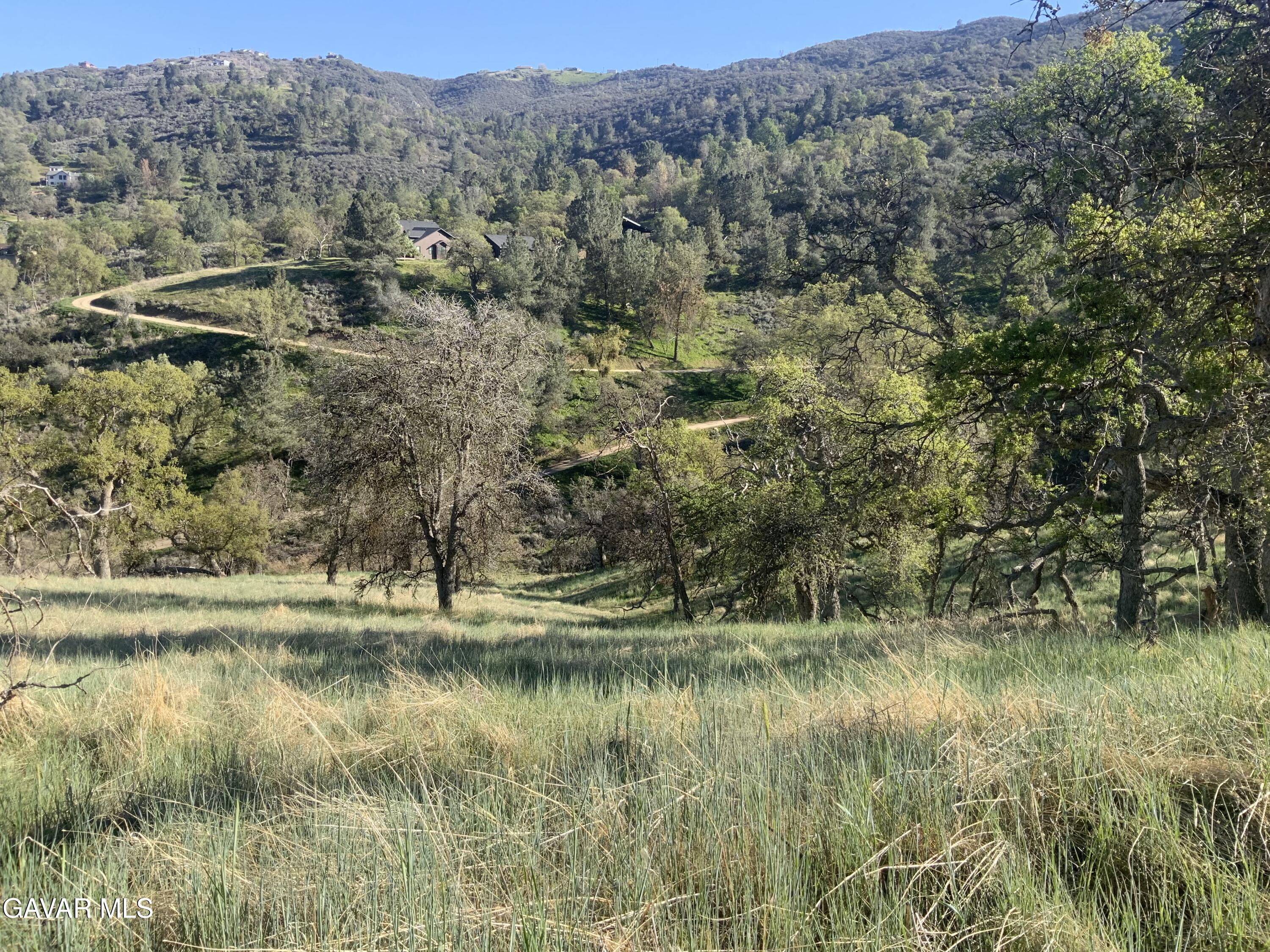 28600 Ridgeview Court Tehachapi, CA 93561 - Photo 5 of 11 IMG_2236