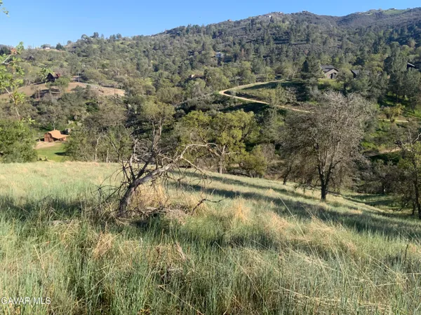 a view of river covered by trees