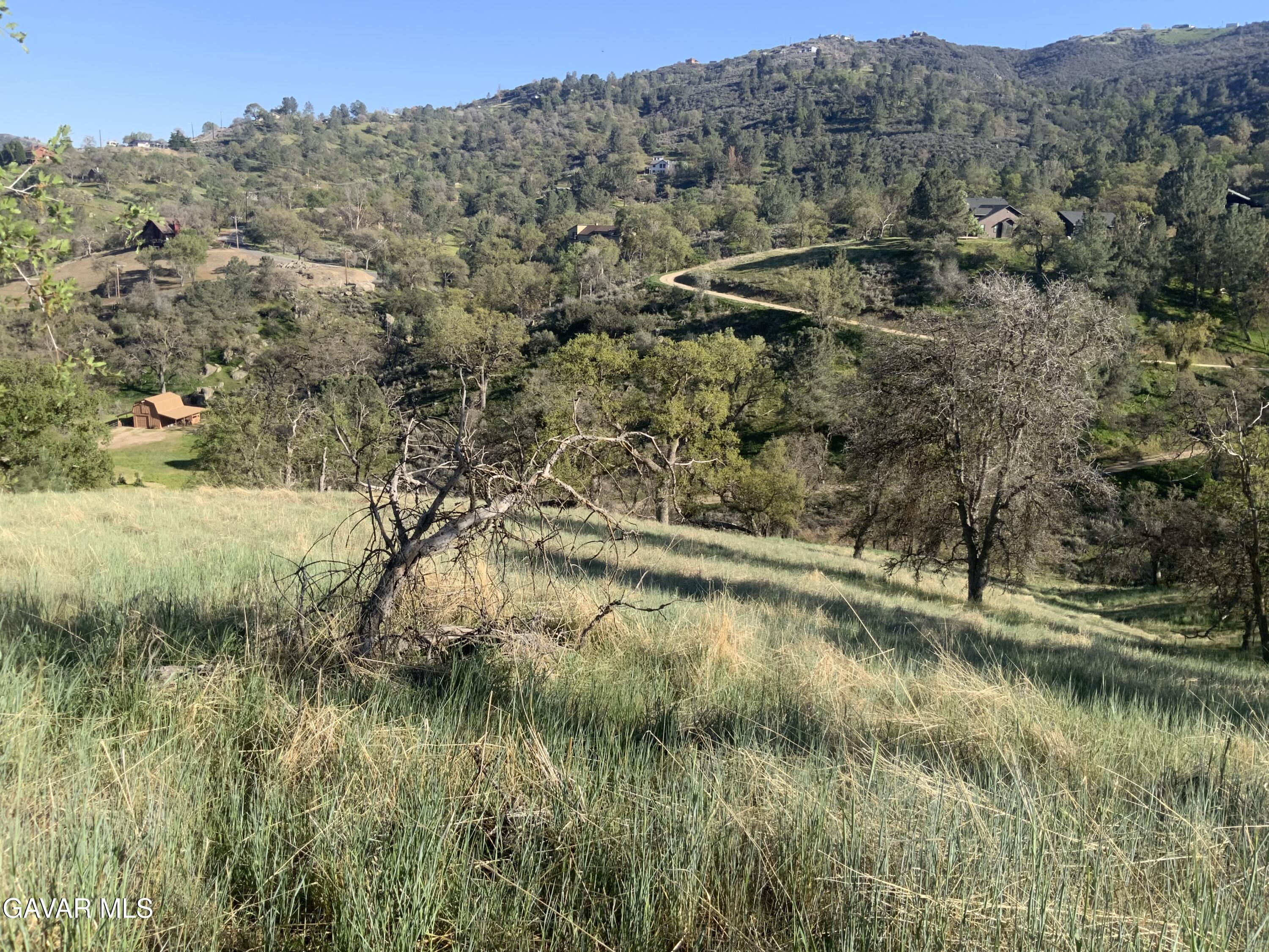 28600 Ridgeview Court Tehachapi, CA 93561 - Photo 6 of 11 IMG_2237