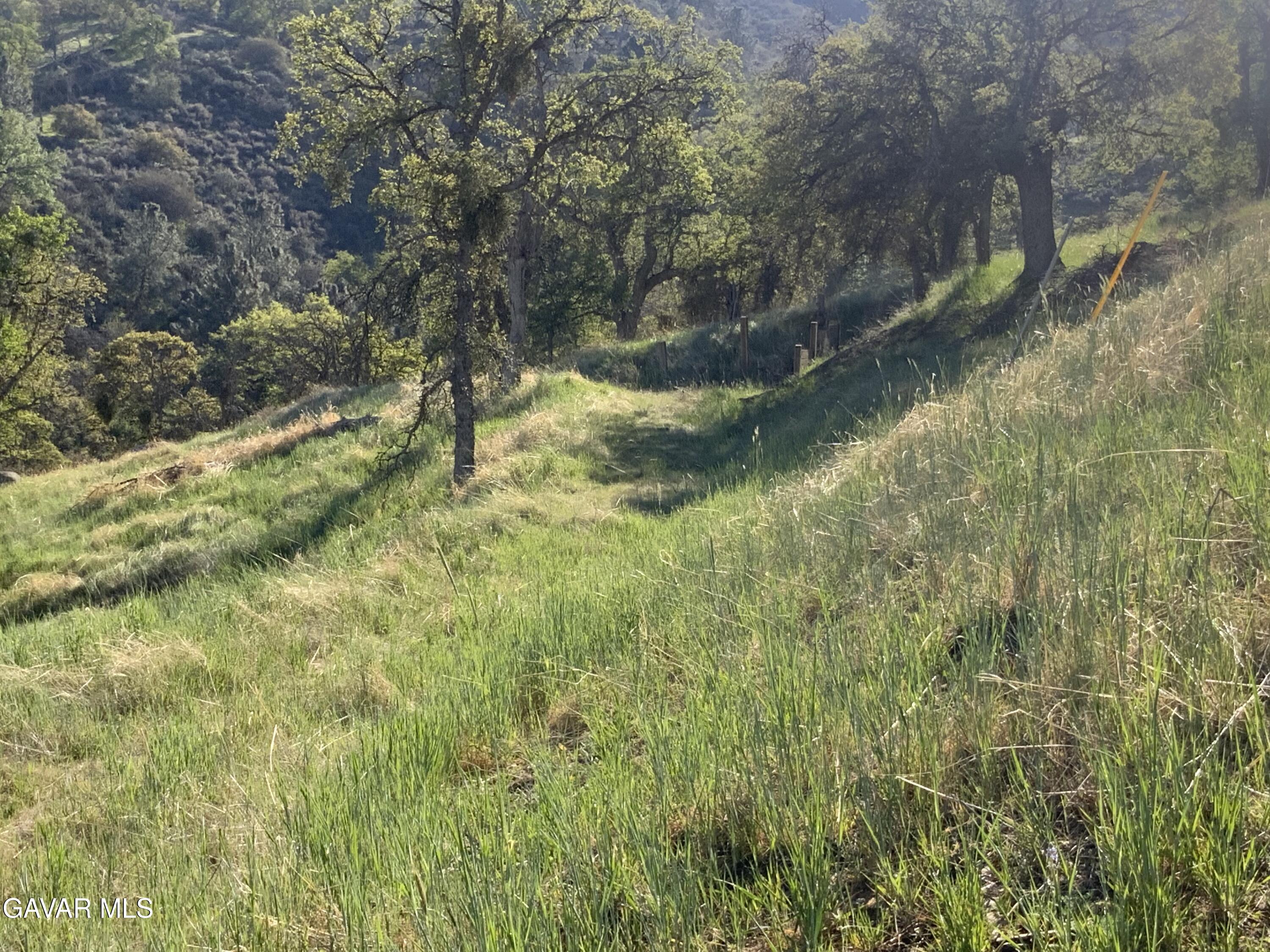 28600 Ridgeview Court Tehachapi, CA 93561 - Photo 7 of 11 IMG_2238