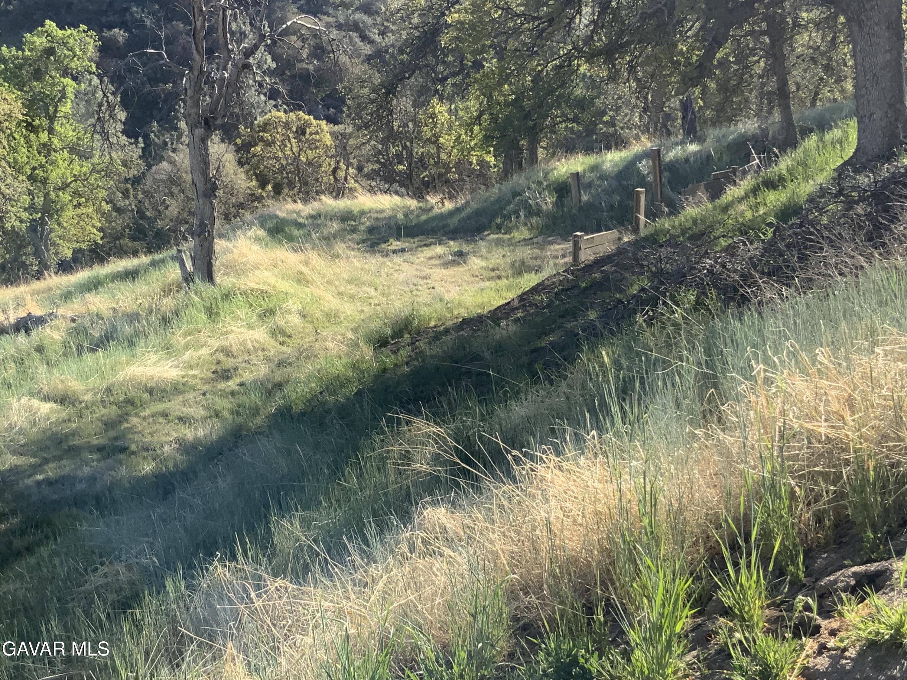 28600 Ridgeview Court Tehachapi, CA 93561 - Photo 8 of 11 IMG_2239