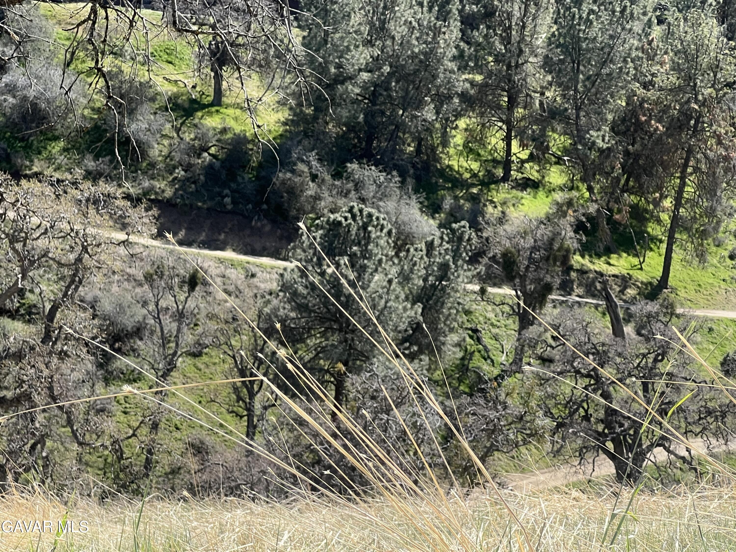 28600 Ridgeview Court Tehachapi, CA 93561 - Photo 10 of 11 IMG_3609