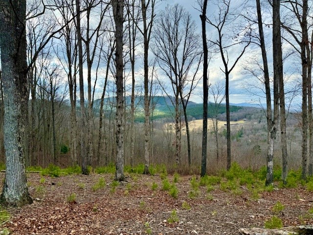 0 Winding Ridge Blairsville, GA 30512 - Photo 13 of 25 Gallery Image 13