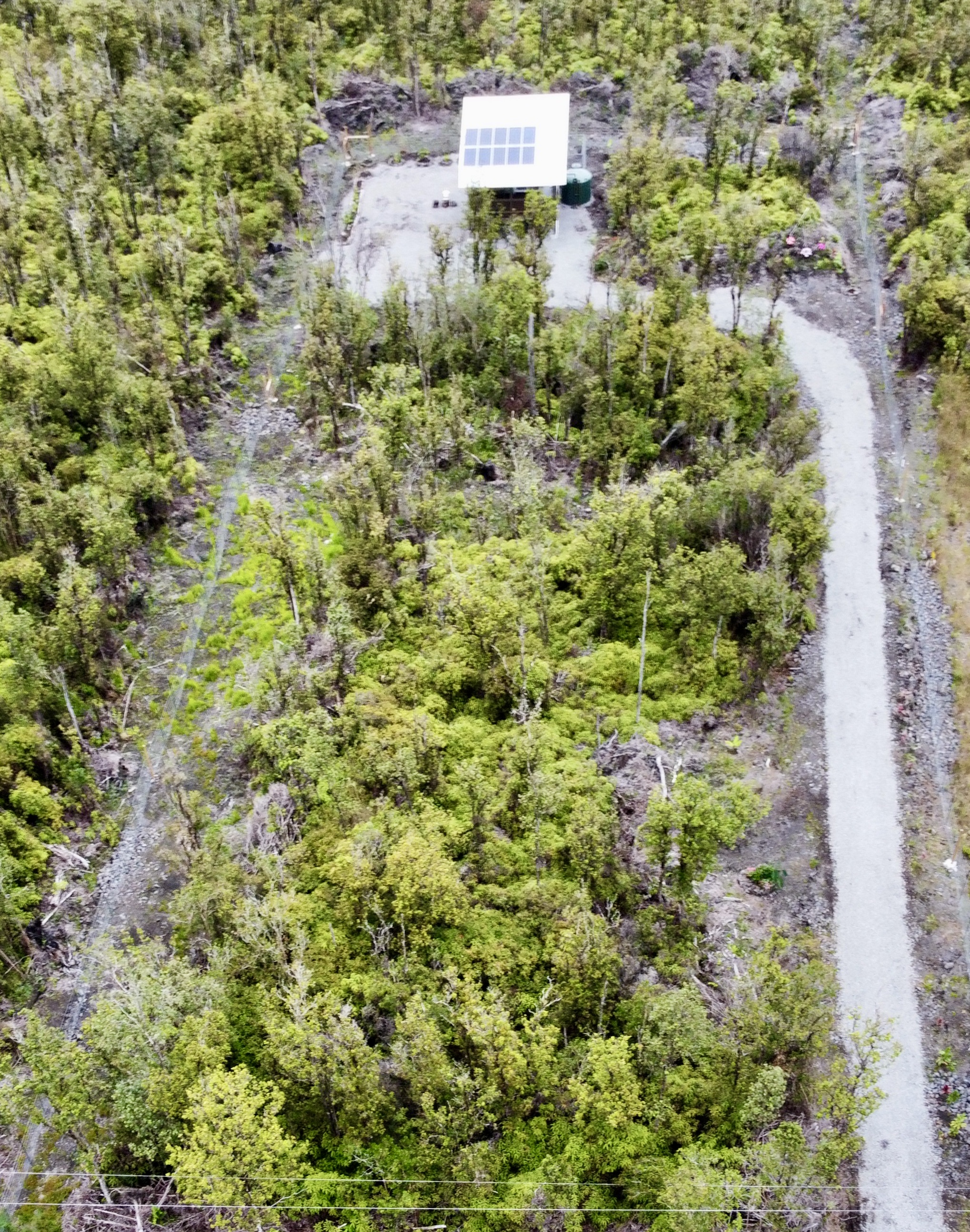 11-3048 Ala Naualani Road Mountain View, HI 96771 - Photo 15 of 29 a view of a garden