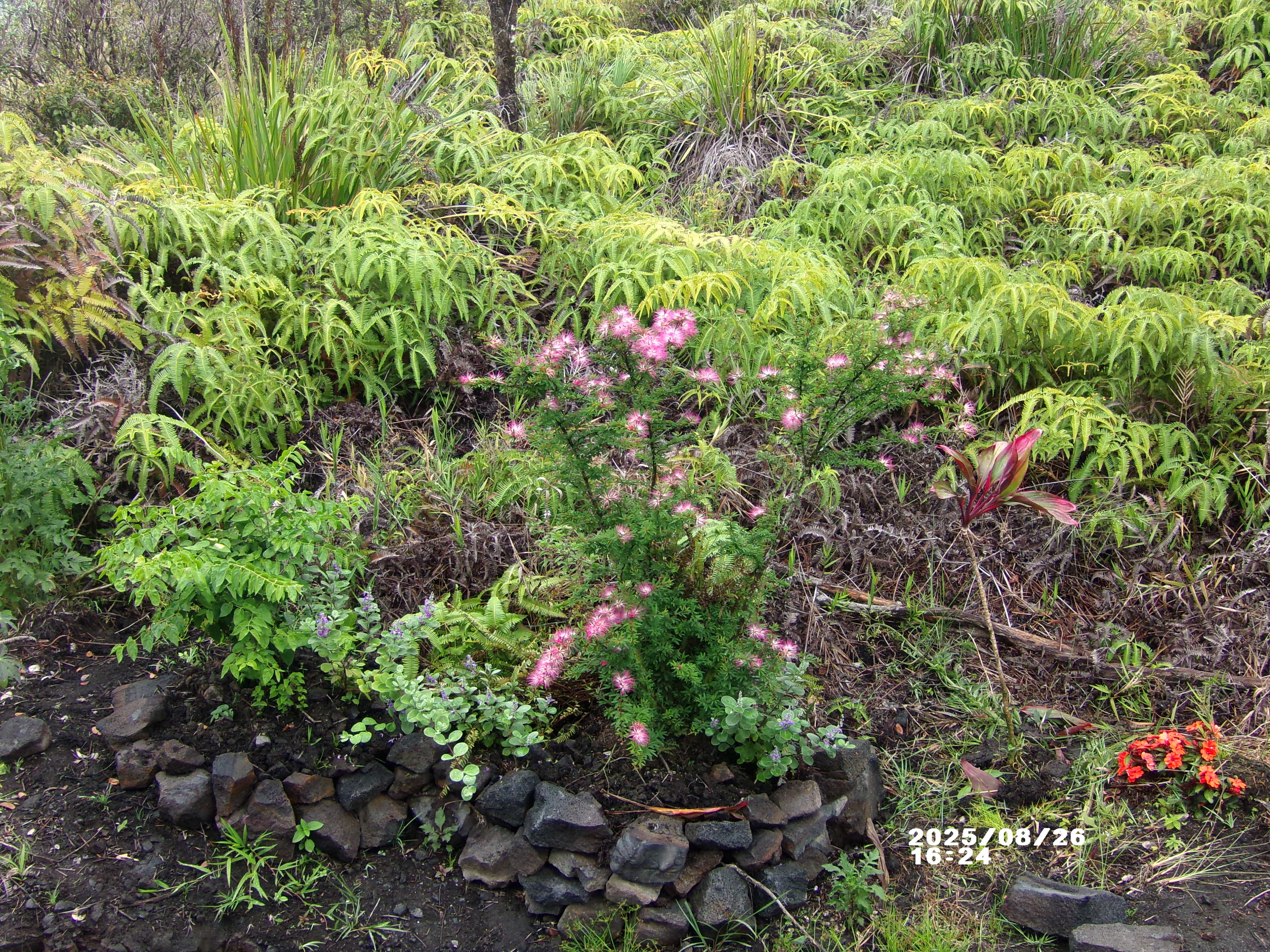 11-3048 Ala Naualani Road Pahoa, HI 96778 - Photo 24 of 29