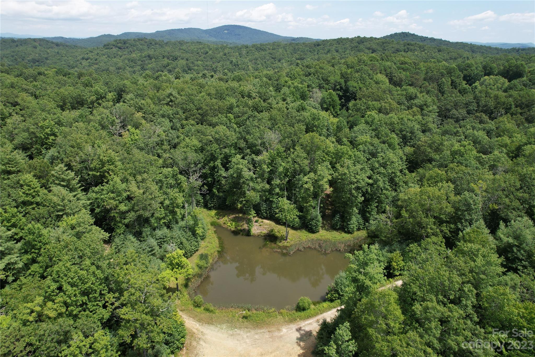 Tbd Hondah Road Brevard, NC 28712 - Photo 1 of 15 Gallery Image 1
