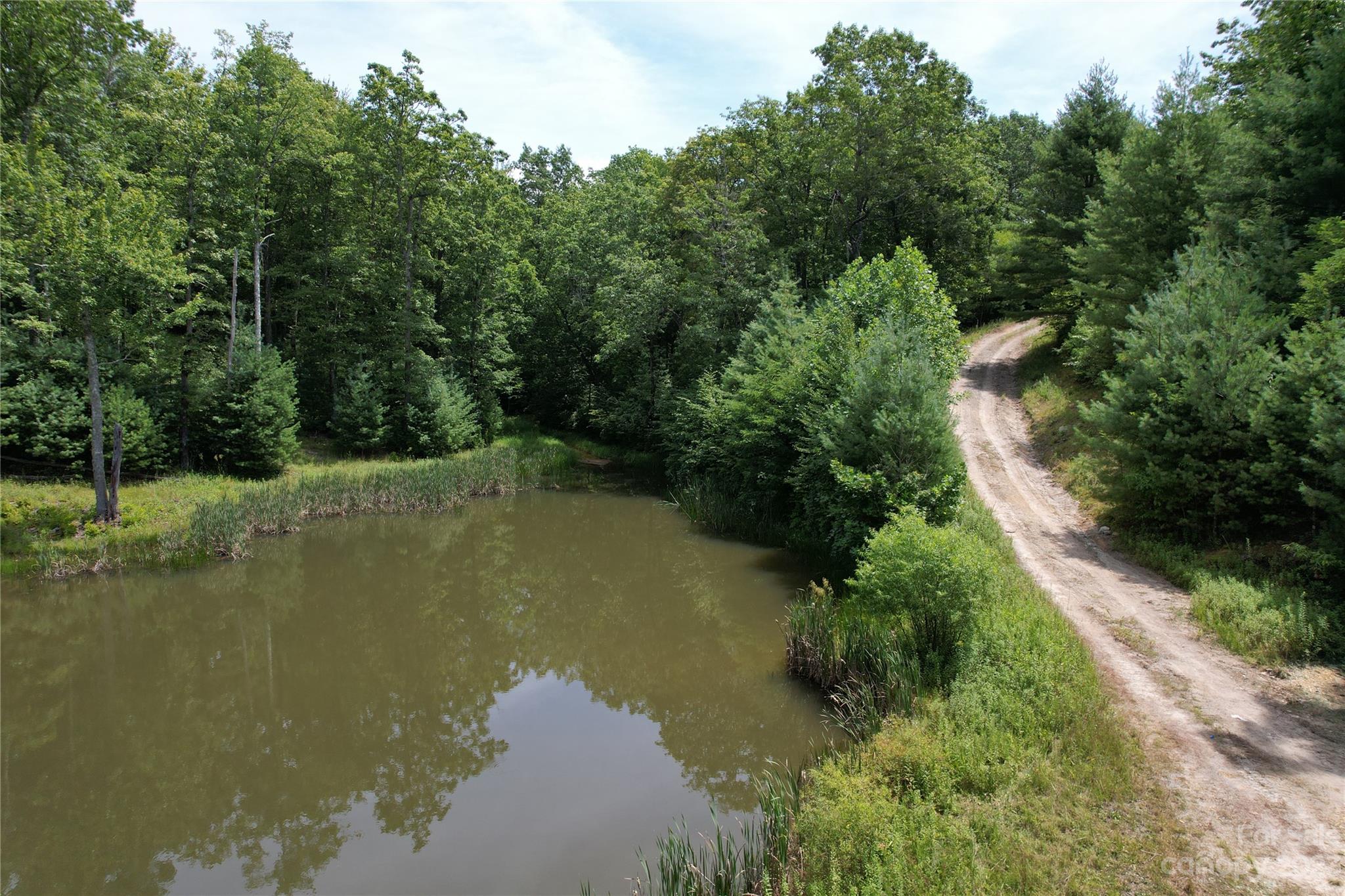 Tbd Hondah Road Brevard, NC 28712 - Photo 3 of 15 Gallery Image 3