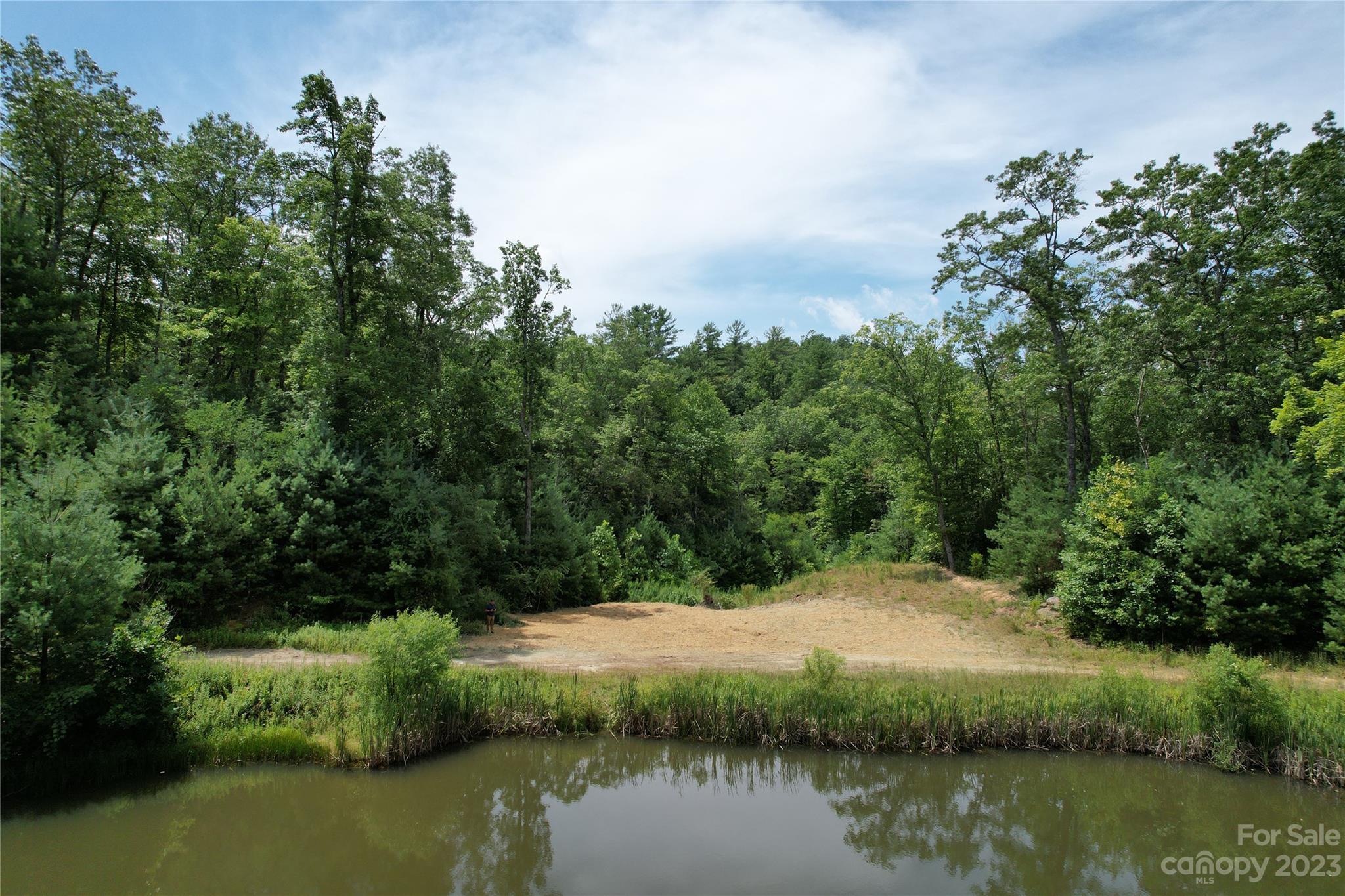 Tbd Hondah Road Brevard, NC 28712 - Photo 4 of 15 Gallery Image 4