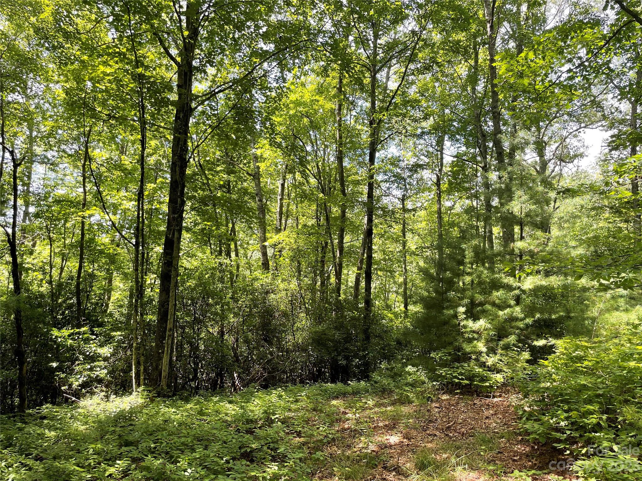 Tbd Hondah Road Brevard, NC 28712 - Photo 5 of 15 Gallery Image 5