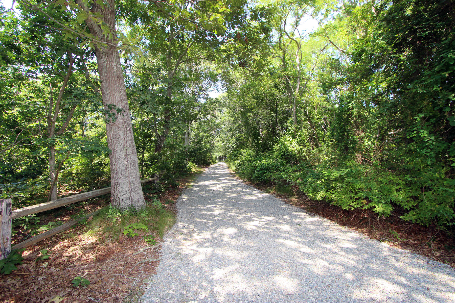 495 Aspinet Road Eastham, MA 02642 - Photo 40 of 47 a view of a forest with trees
