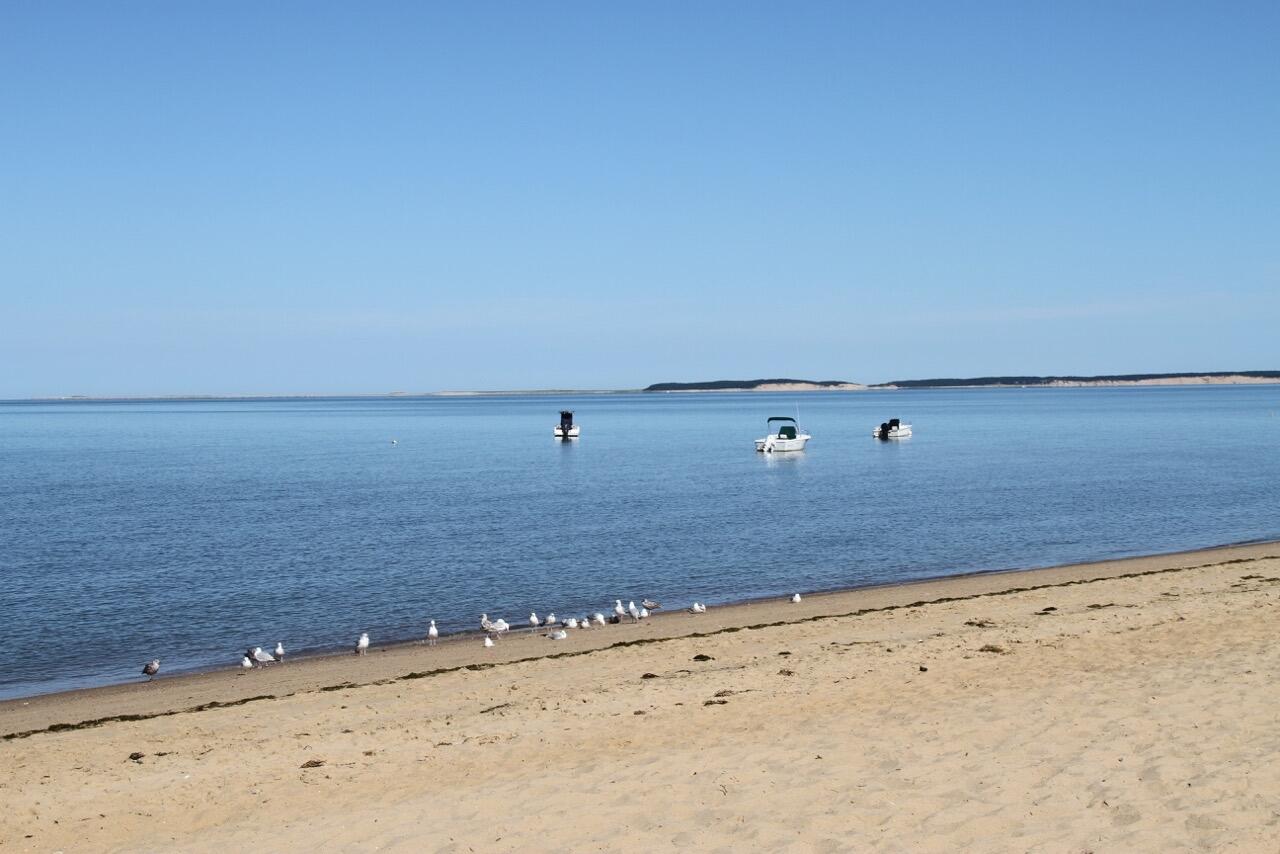 495 Aspinet Road Eastham, MA 02642 - Photo 46 of 47 a view of a refrigerator in the road