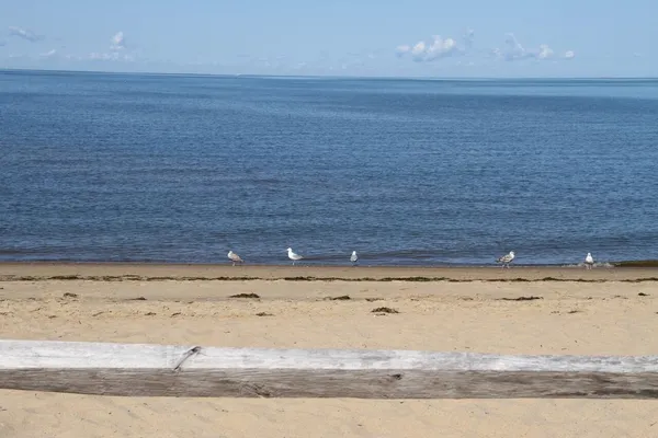 $1,399,000 | 495 Aspinet Road, Eastham, MA 02642