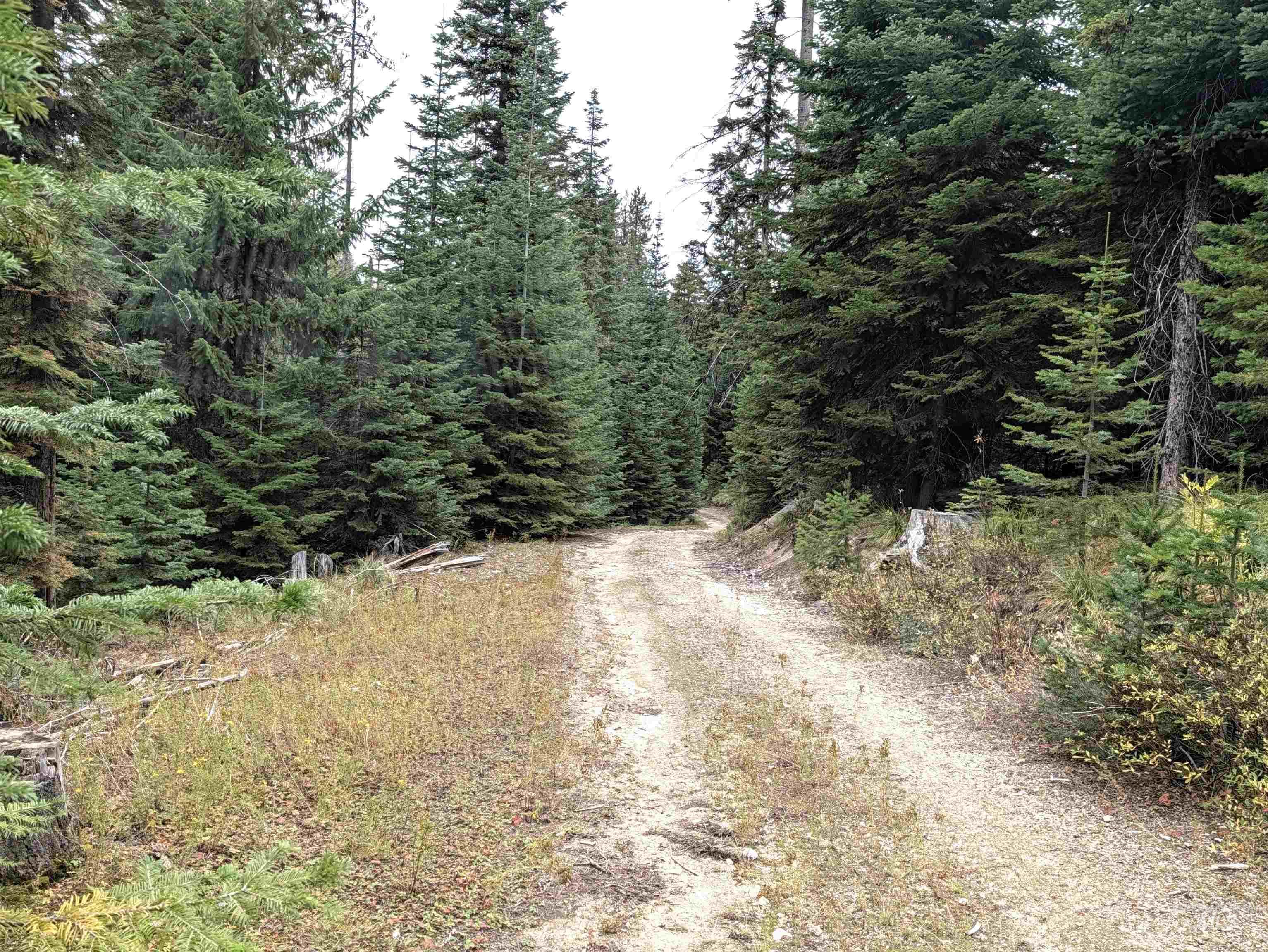 524 Rhett Creek Road Elk City, ID 83525 - Photo 15 of 23 Additional content