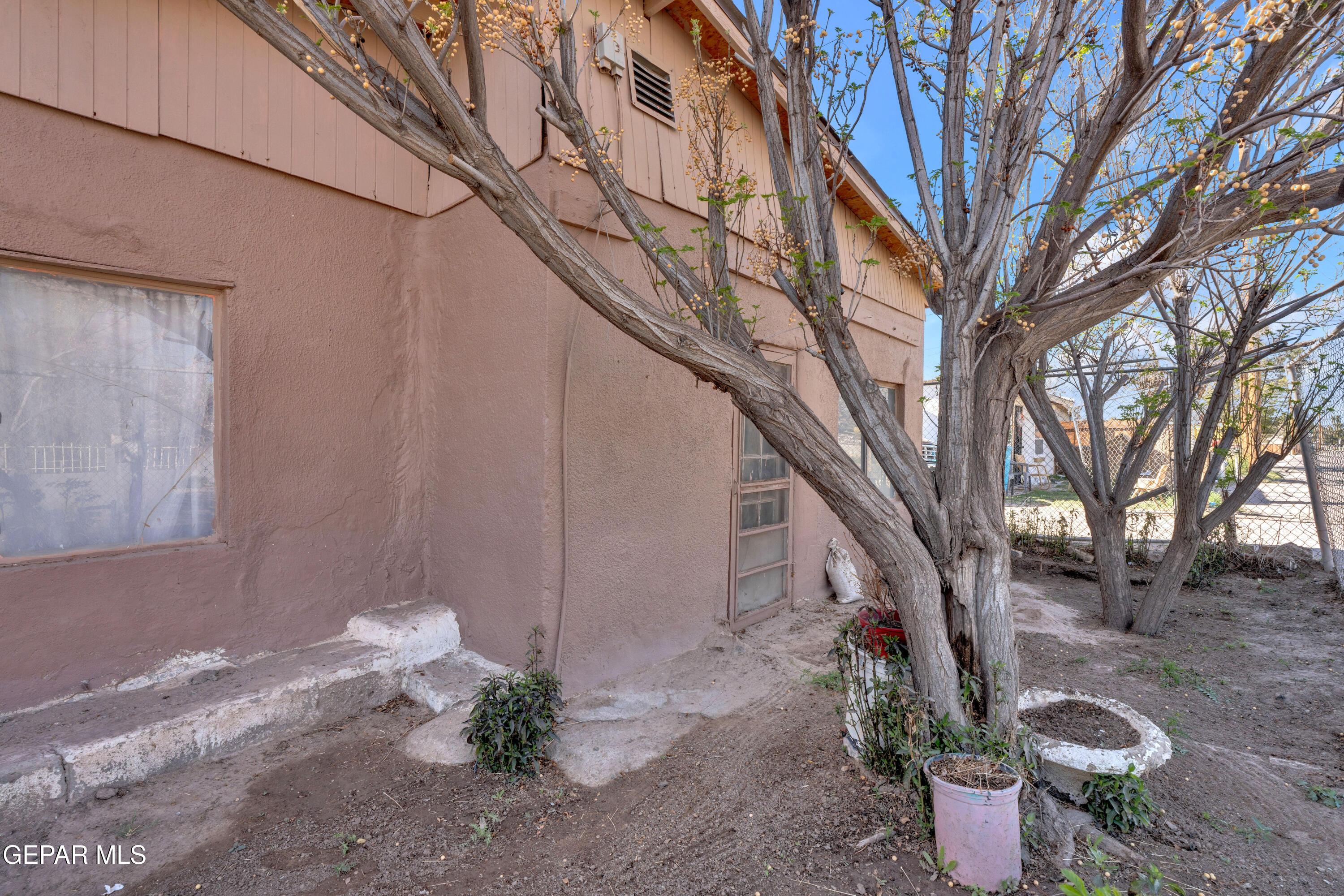 10184 Haynes Road Socorro, TX 79927 - Photo 20 of 25 a view of a backyard with plants and large trees