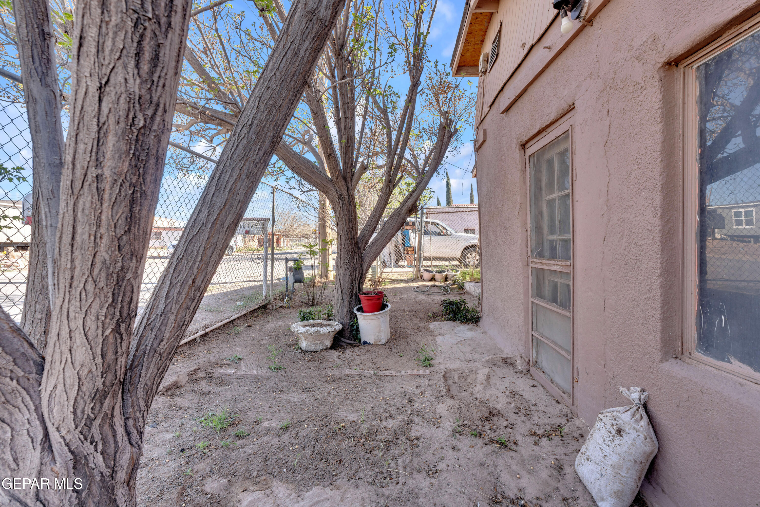 10184 Haynes Road Socorro, TX 79927 - Photo 21 of 25 a view of a house with a large tree and a yard
