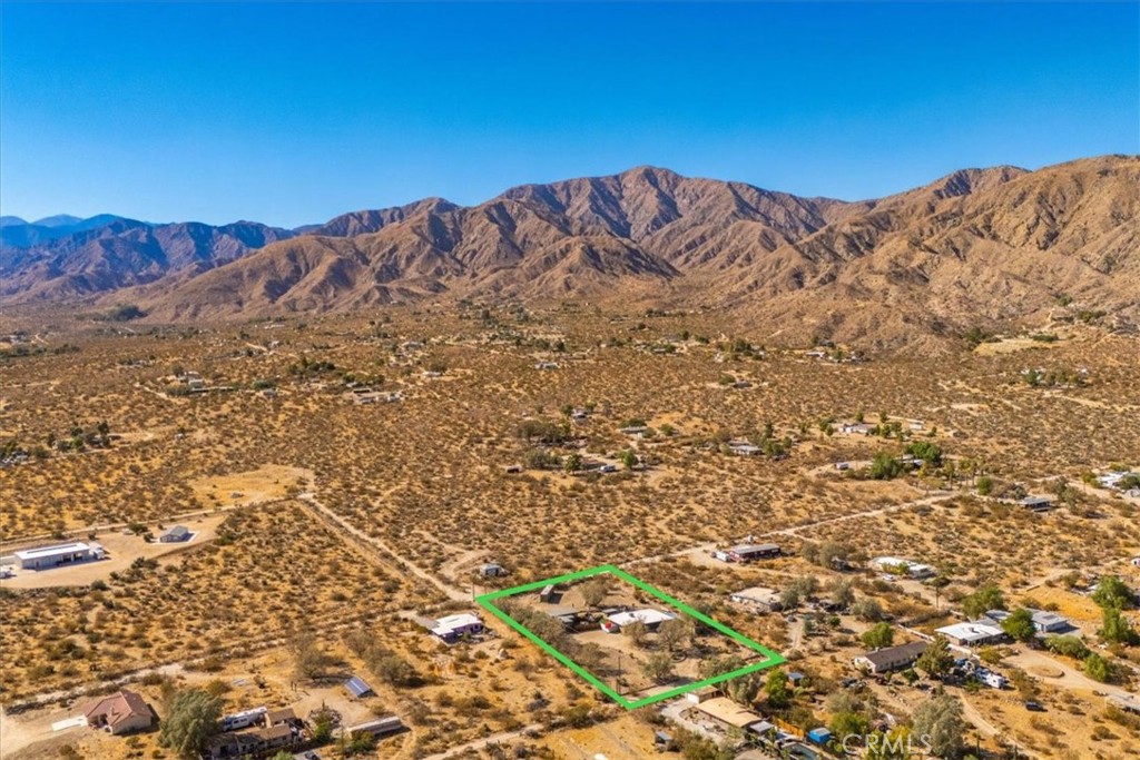 9384 Piedras Trail Morongo Valley, CA 92256 - Photo 71 of 75 a view of a large tree