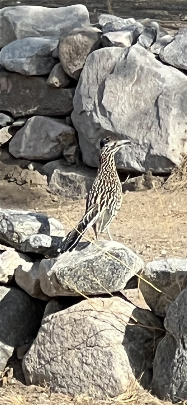 9384 Piedras Trail Morongo Valley, CA 92256 - Photo 75 of 75