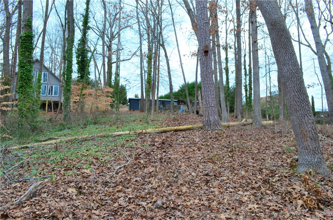 103-105 Point Road Townville, SC 29689 - Photo 12 of 18 Gallery Image 12