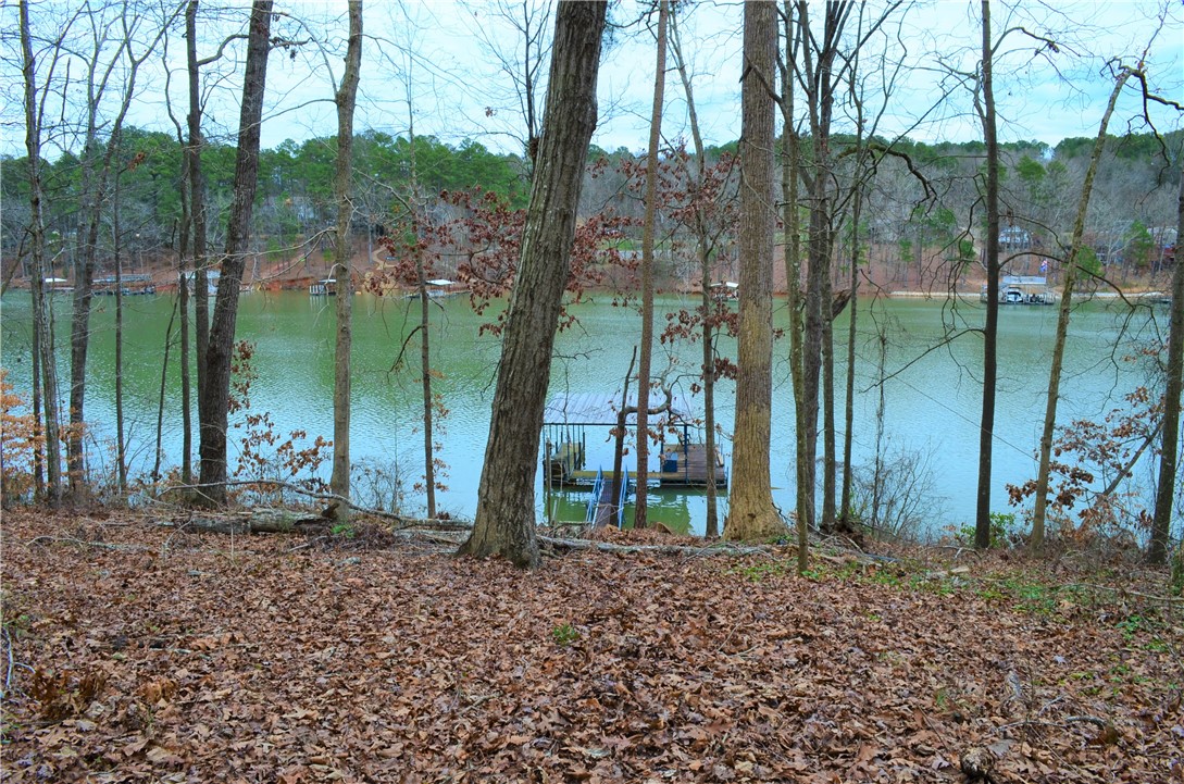 103-105 Point Road Townville, SC 29689 - Photo 3 of 18 Gallery Image 3