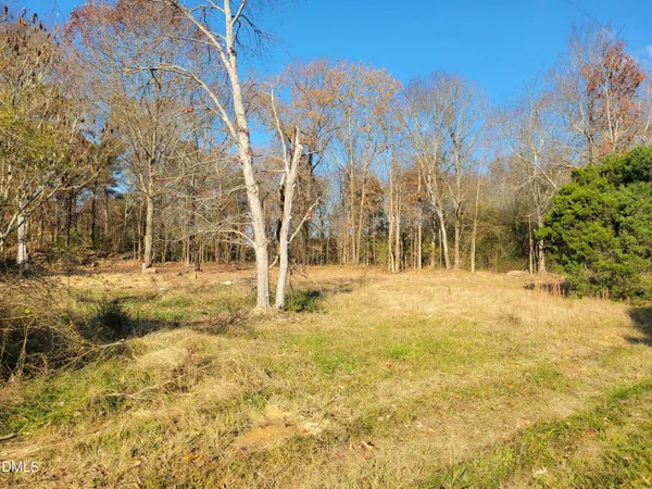 a view of a yard with trees