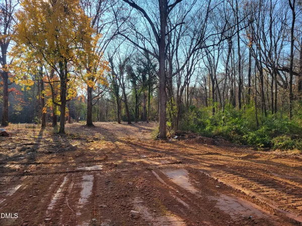 a view of road with large trees