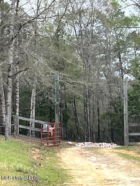 15429 Indian Fork Road Vancleave, MS 39565 - Photo 41 of 63 2nd Entry Gate