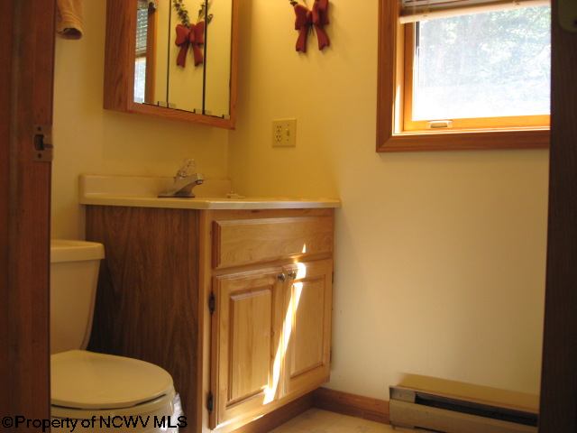 86 Snapping Turtle Lane Davis, WV 26260 - Photo 13 of 15 Gallery Image 13