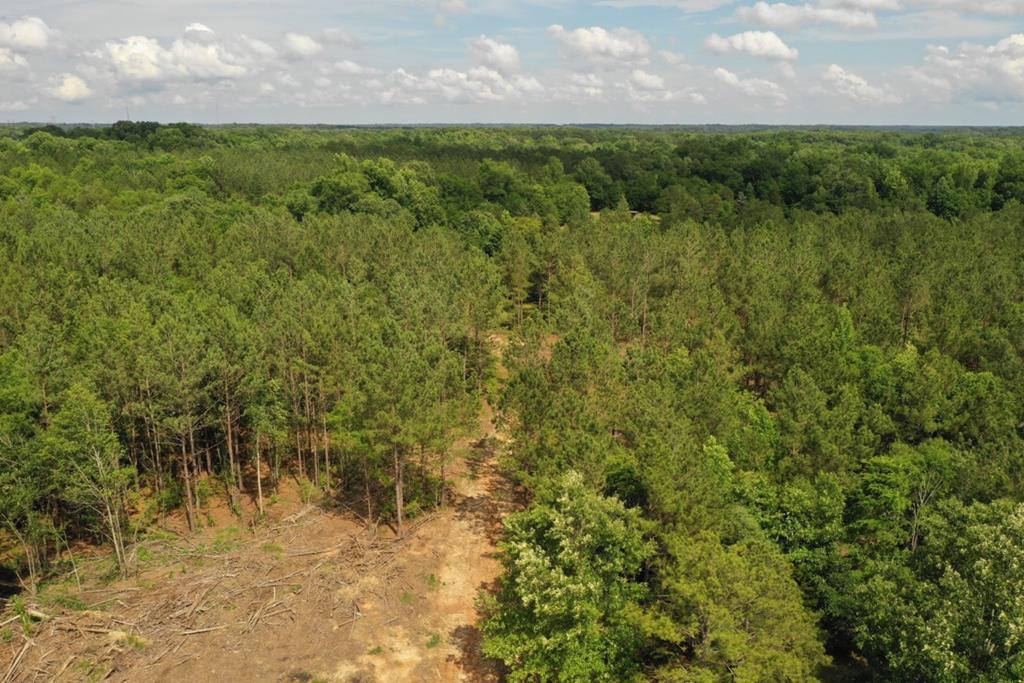 0 Arborville Center Road Donalds, SC 29638 - Photo 31 of 35