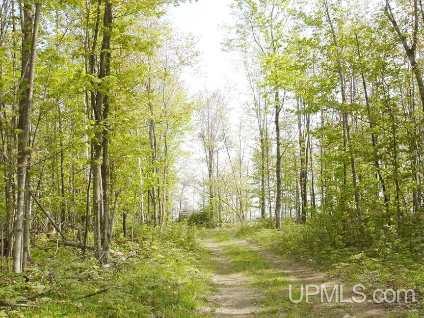 Tbd Northshore Bluffs Road, Unit 3 Manistique, MI 49854 - Photo 22 of 22