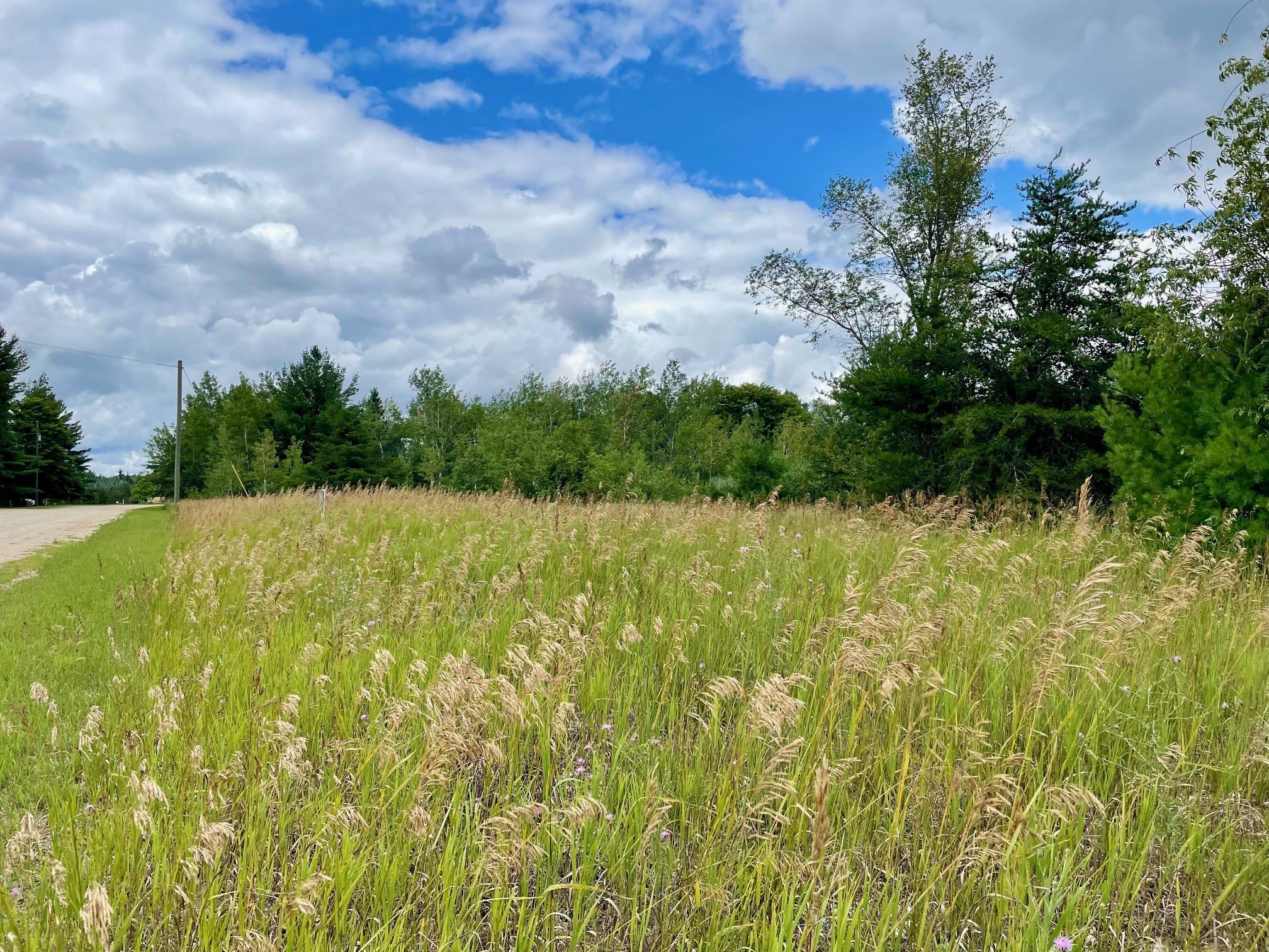 969-987 Quail Road Southwest Kalkaska, MI 49646 - Photo 5 of 14