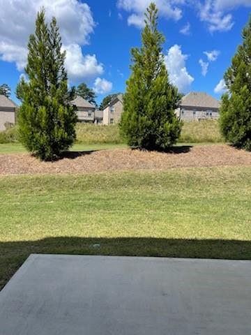 2462 Pearl Rdg Trace Buford, GA 30519 - Photo 21 of 22