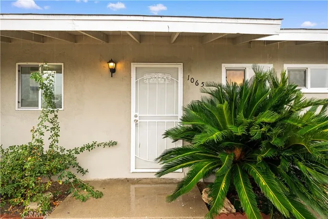 a plant that is in front of a house