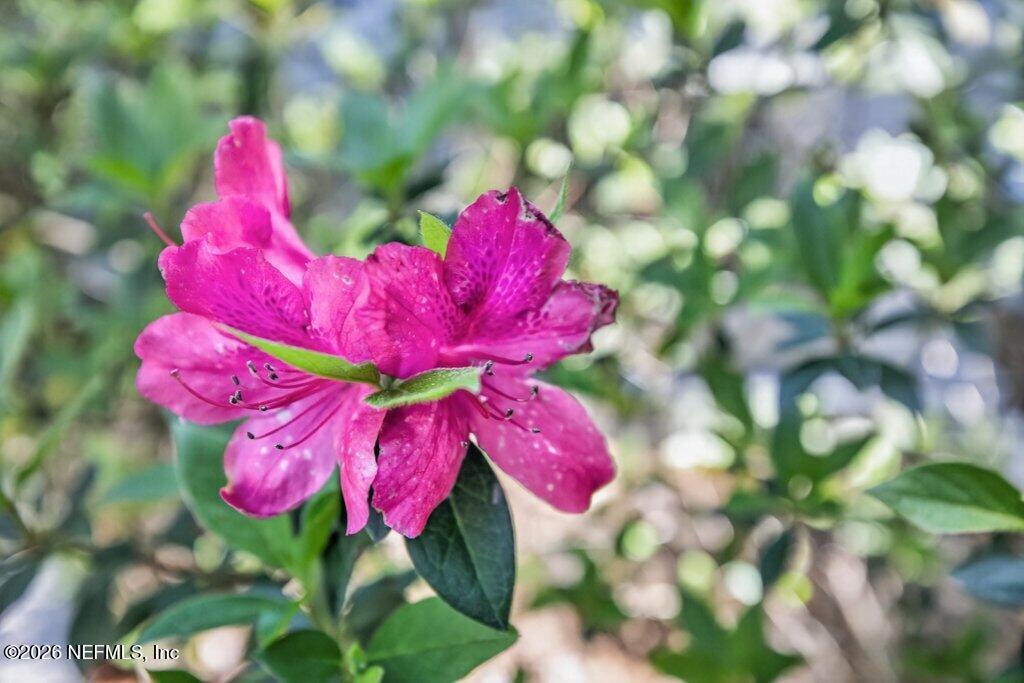 1664 Fairway Ridge Drive Fleming Island, FL 32003 - Photo 81 of 103 081-1664FairwayRidgeDrive-OrangePark-FL-