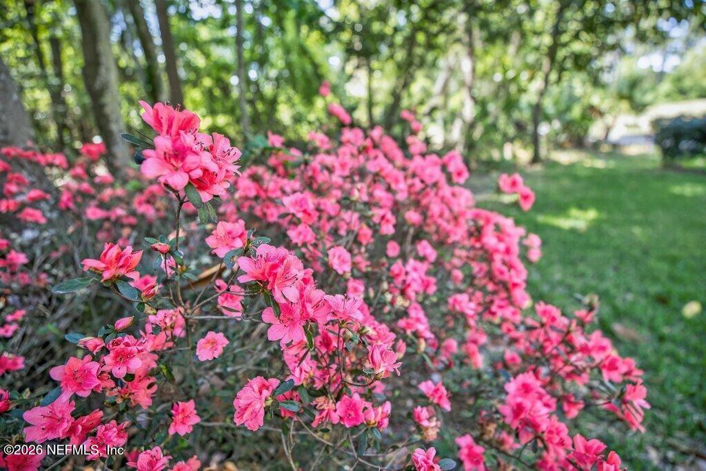 1664 Fairway Ridge Drive Fleming Island, FL 32003 - Photo 82 of 103 082-1664FairwayRidgeDrive-OrangePark-FL-