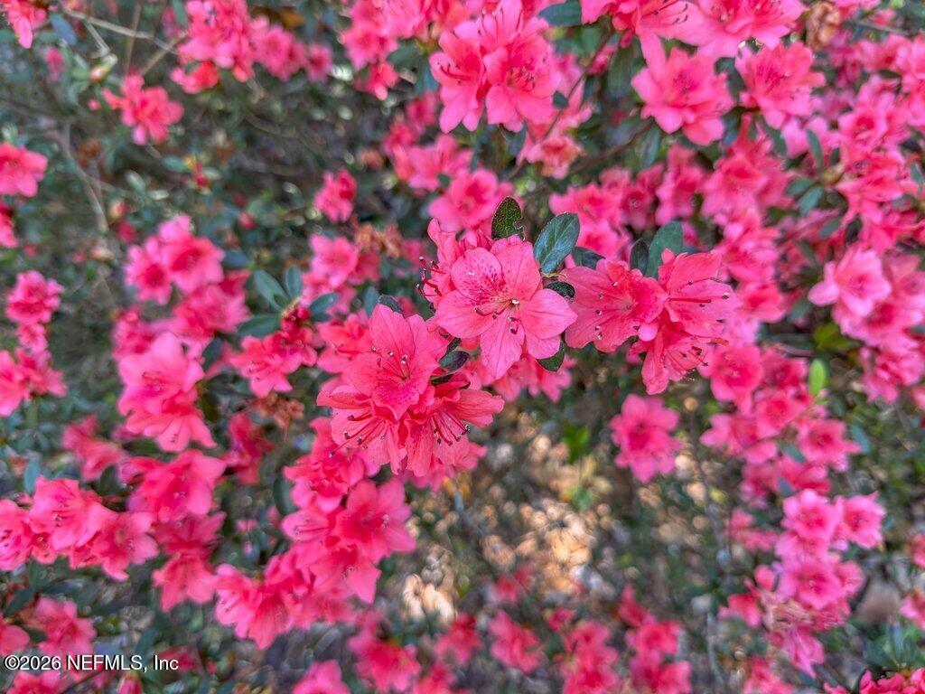 1664 Fairway Ridge Drive Fleming Island, FL 32003 - Photo 84 of 103 084-1664FairwayRidgeDrive-OrangePark-FL-