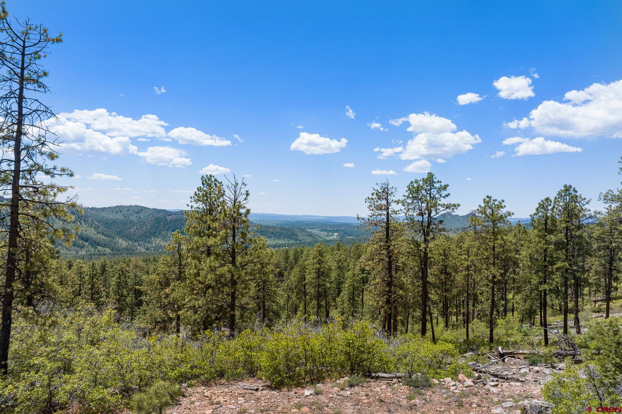 2511 Taylor Ranch Road Durango, CO 81301 - Photo 20 of 23