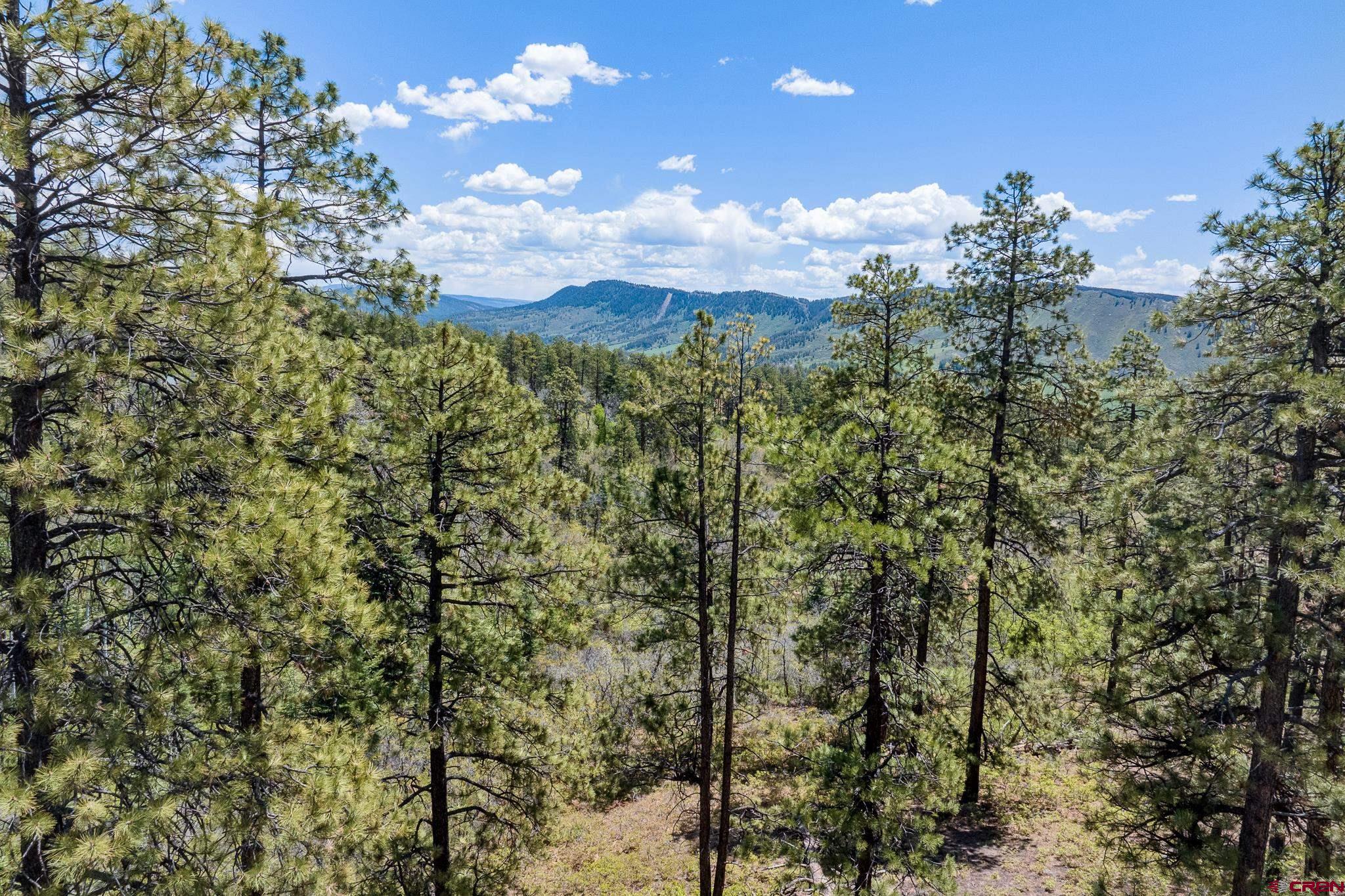 2511 Taylor Ranch Road Durango, CO 81301 - Photo 21 of 23