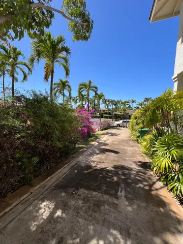 a view of a yard with plants
