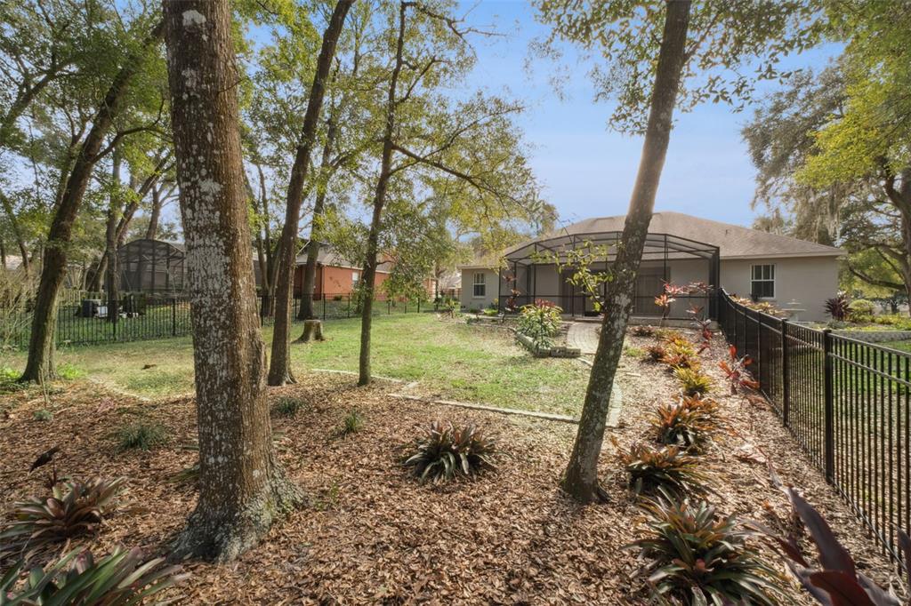 597 Sand Wedge Loop Apopka, FL 32712 - Photo 38 of 40 a view of a yard with a tree