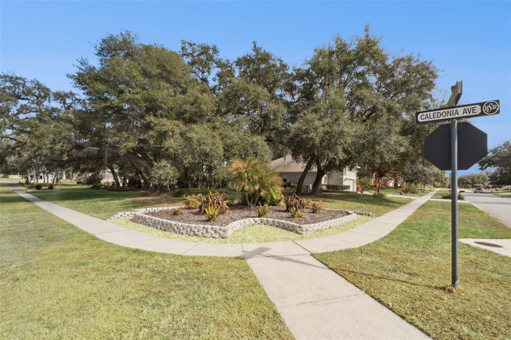 597 Sand Wedge Loop Apopka, FL 32712 - Photo 40 of 40 a view of a swimming pool with a patio