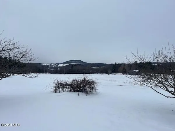 $168,000 | 465 Snyder Road, Carlisle, NY 12043