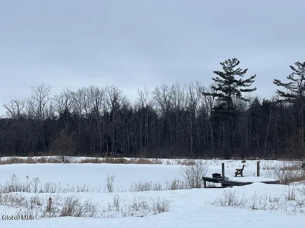 $168,000 | 465 Snyder Road, Carlisle, NY 12043