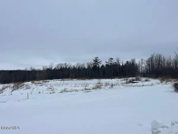 $168,000 | 465 Snyder Road, Carlisle, NY 12043