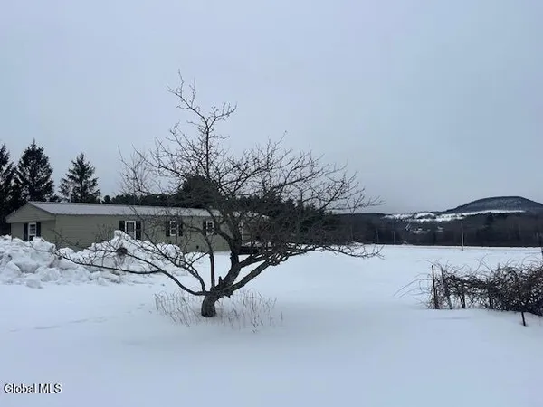 $168,000 | 465 Snyder Road, Carlisle, NY 12043