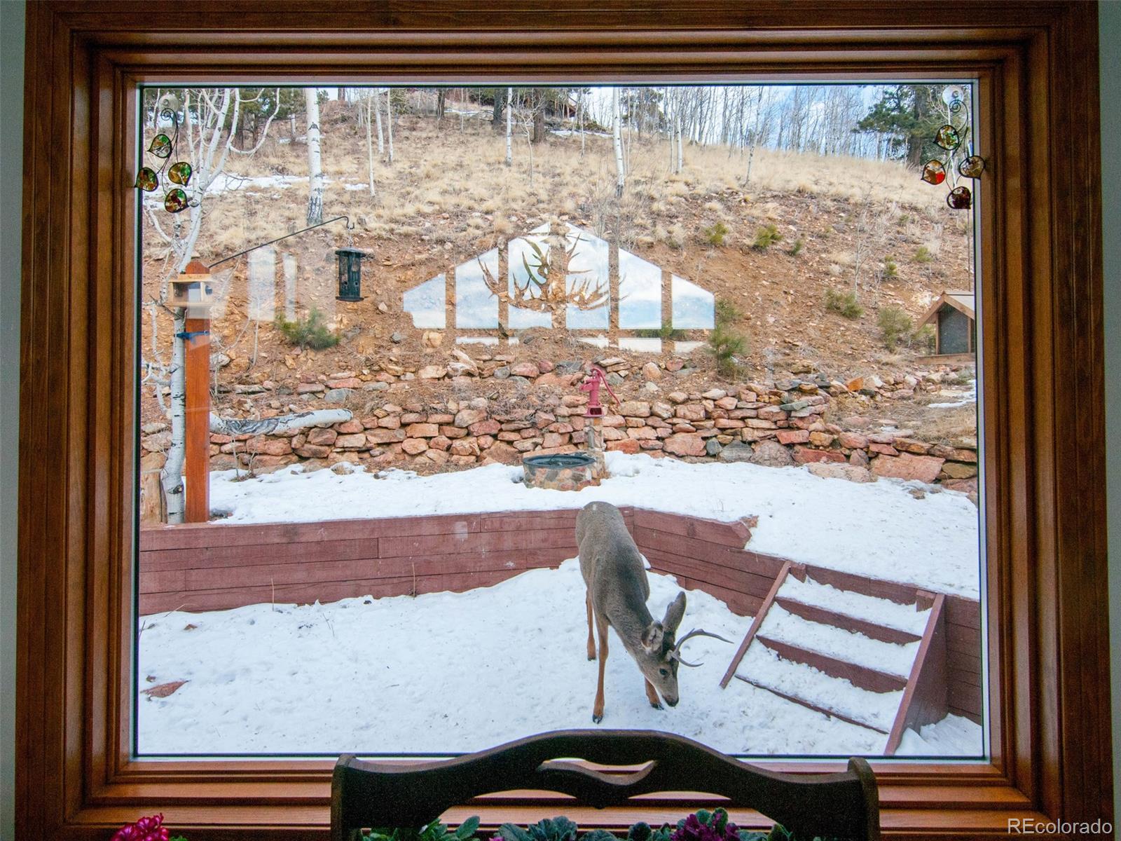 850 Royal Ridge Drive Bailey, CO 80421 - Photo 17 of 35 a view of a window