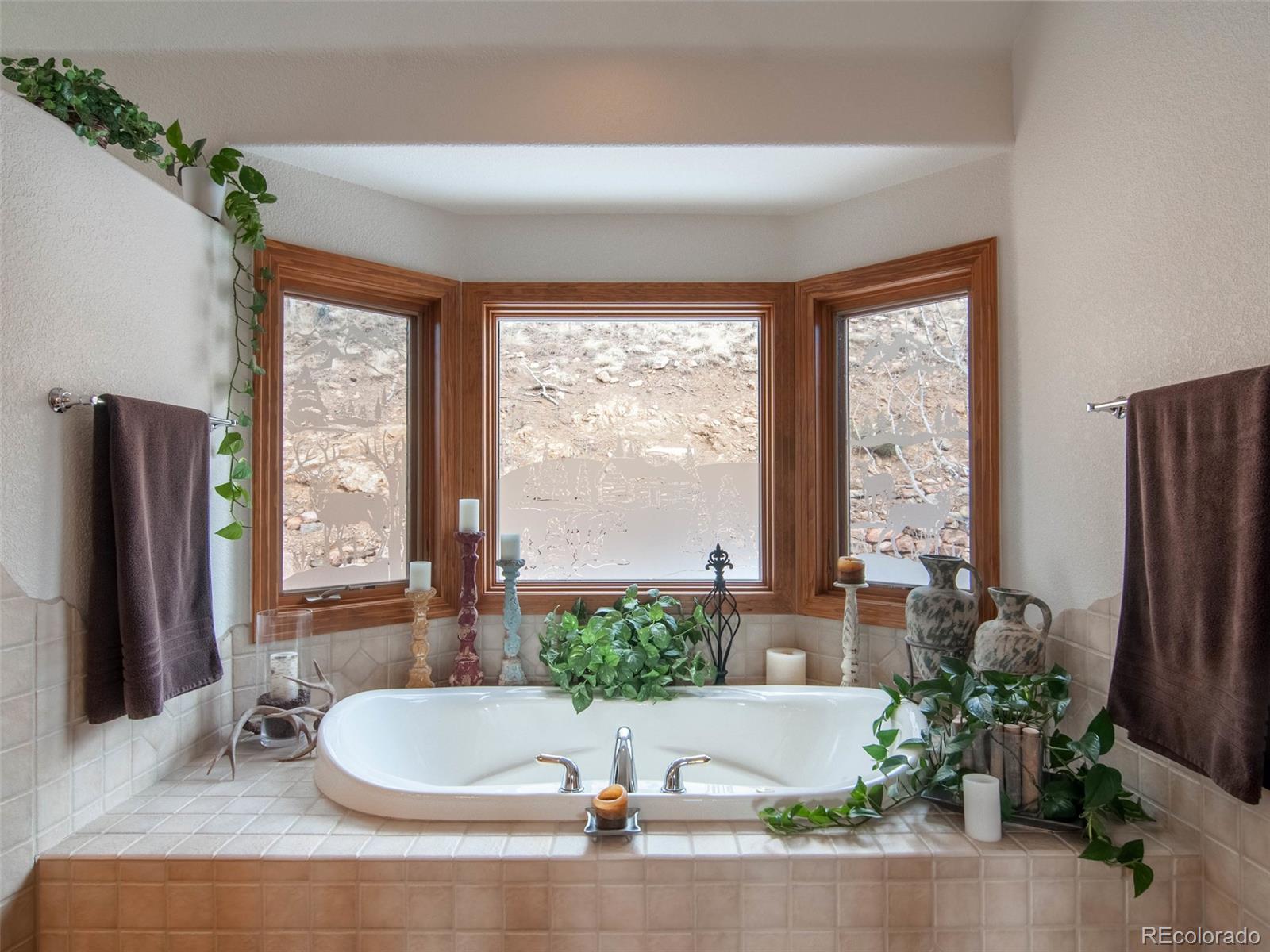 850 Royal Ridge Drive Bailey, CO 80421 - Photo 22 of 35 a bathroom with a tub and potted plant