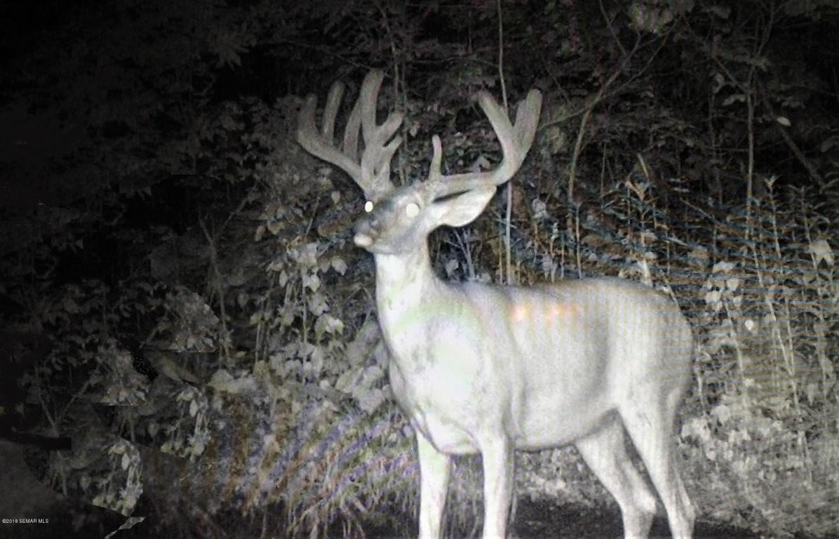Tbd Overhouse Road Caledonia, MN 55921 - Photo 1 of 1