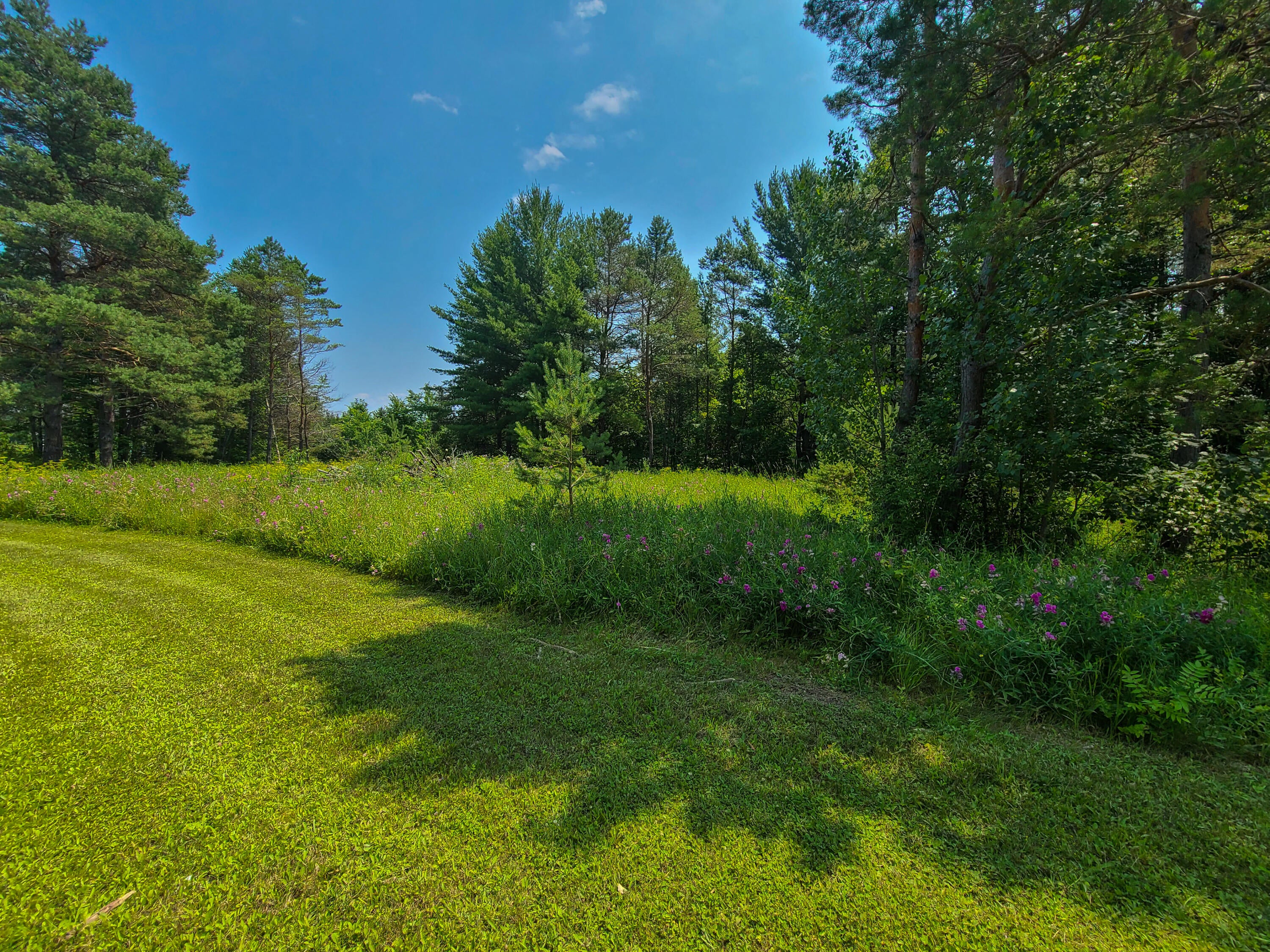 1230 Rivers Ridge Court Cheboygan, MI 49721 - Photo 1 of 6 Gallery Image 1