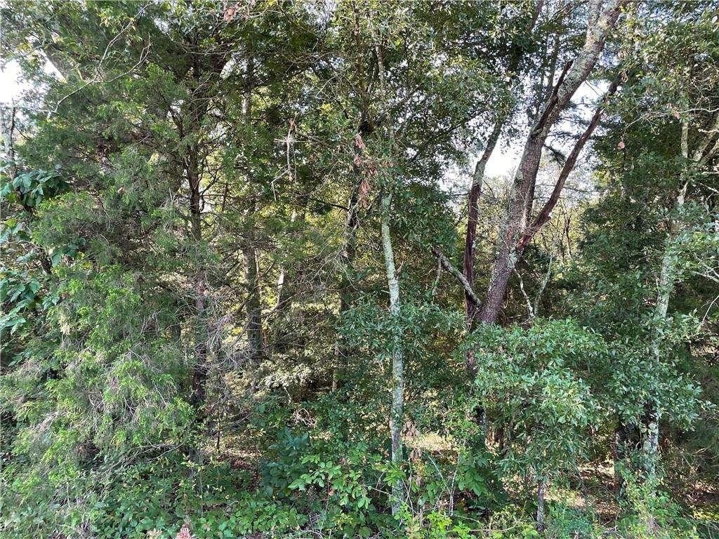 0 Mission Road Cartersville, GA 30120 - Photo 1 of 1 Gallery Image 1